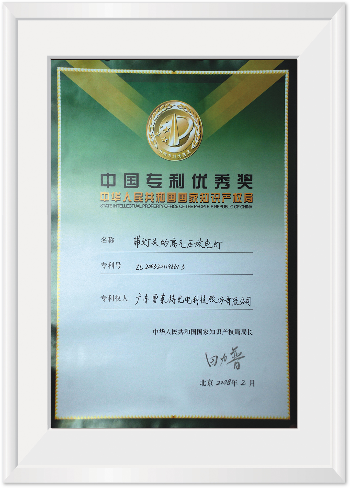 中国专利优秀奖